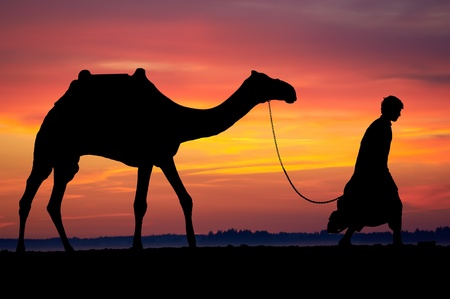 Silhouette of Arab with camel at sunriseの写真素材