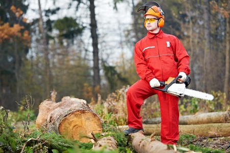 Lumberjack Worker With Chainsaw In The Forestの写真素材