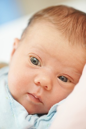 Close-up newborn baby portraitの写真素材