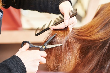 Hands of female professional hair stylist with shears and comb during haircutting by hot thermal scissors in hairdresser salonの写真素材