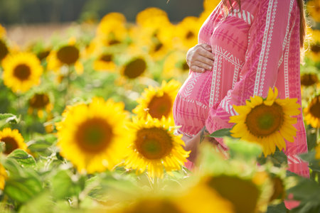 motherhood and pregnancy. pregnant female with hands on woman belly standing in sunflower fields.の写真素材