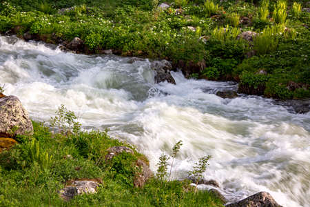strong flowing creek in foggy autumn and greenery aroundの写真素材