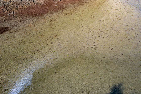 Nallihan Bird Sanctuary in Ankara district of Turkey. (NallÄ±han Bird Paradise in Turkish)の写真素材