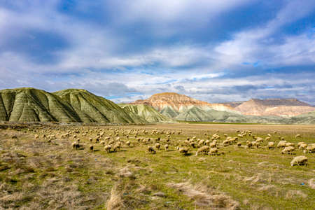 Nallihan Bird Sanctuary in Ankara district of Turkey. (NallÄ±han Bird Paradise in Turkish)の写真素材