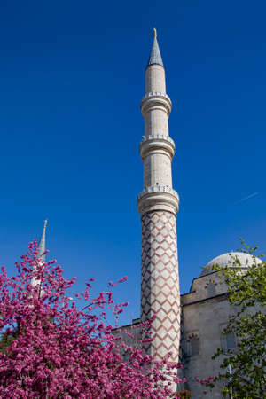 Edirne Selimiye Mosqueの写真素材