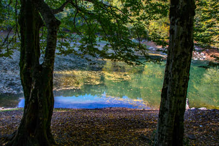 Yedigoller National Park (untouched nature) Bolu - Turkey