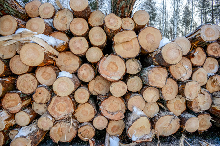 Snow log stack lumber in winter .