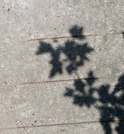 Crushed Limestoneの写真素材
