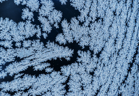 frost on the window, a heavy frost