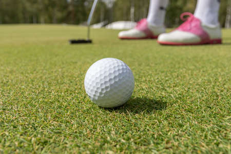 Golfer women preparing for a putt on the green during golf course.の写真素材