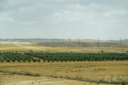 Israel. April 16, 2015. Desert view. Nomads and the road. Tourist view of the panorama and beauty of the desert.のeditorial素材