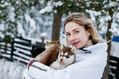 Girl playing with siberian husky in winter forest and park, animals and ecologyの写真素材
