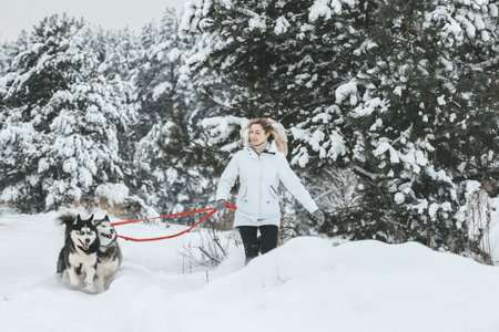 Girl walking with siberian husky in winter forest and park, animals and ecology