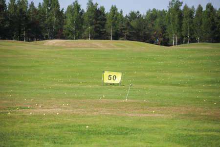 Driving range ongolf course on a green golf course with a forest in the background.の写真素材