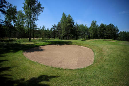 Golf course in the middle of the forest glade.の写真素材