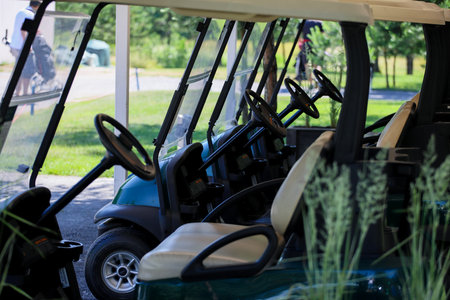 The electric car on the golf course stands in the shade of the trees.のeditorial素材