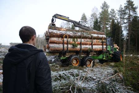 Belarus - 02.02.2015 - A timber truck loaded with trees in winter in the forest on the snow foyer.のeditorial素材