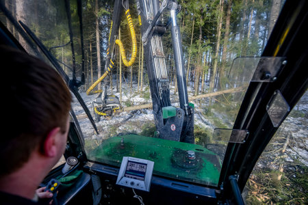 Belarus - 02.02.2021 - Harvester working in a forest. Harvest of timber. Firewood as a renewable energy source. Agriculture and forestry theme. High quality photoのeditorial素材