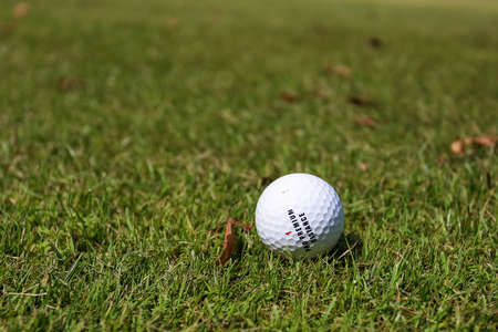 Minsk. Belarus - 25.07.2021 - Golf ball on a green grass backgroundのeditorial素材