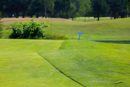 Green grass on a golf course, lens flare on sun set evening timeの写真素材