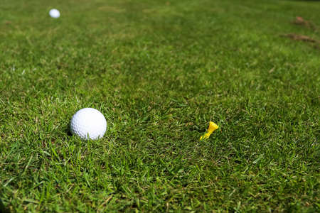 Golf ball on a green grass backgroundの写真素材