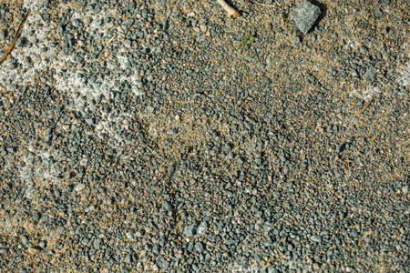 Background, small stones of gray color on a ground. High quality photoの写真素材