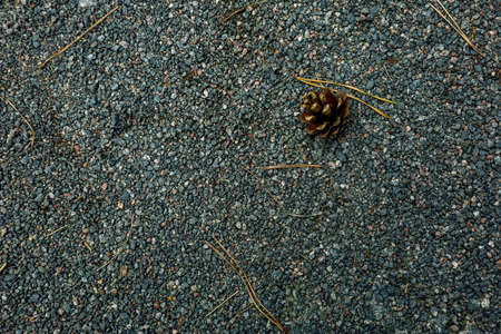 Background, small stones of gray color on a ground. High quality photoの写真素材