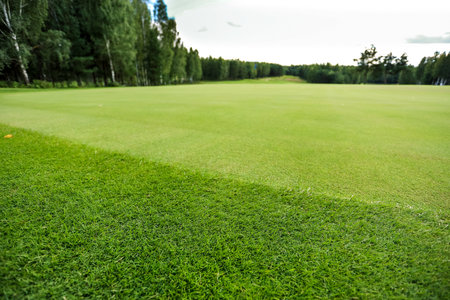 Fresh green grass background turf a top view. High quality photoの写真素材