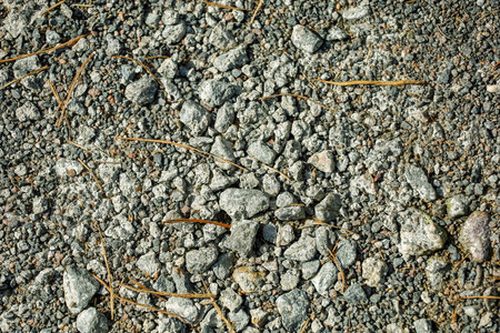 Background, small stones of gray color on a ground. High quality photoの写真素材