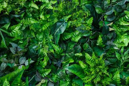 Top view of green leaves and fern, the background. High quality photoの写真素材