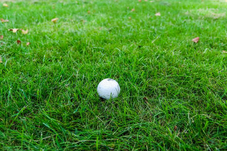 Golf ball on green grass of a golf course.の写真素材