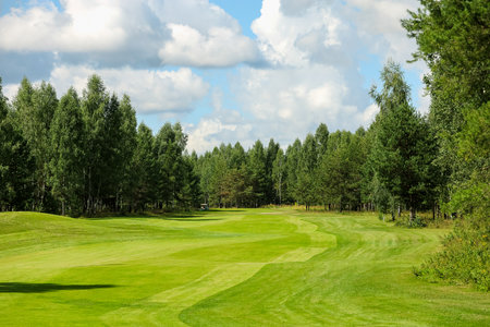 Golf course, landscape, green grass on the background of the forest and a bright sky with clouds. High quality photoの写真素材