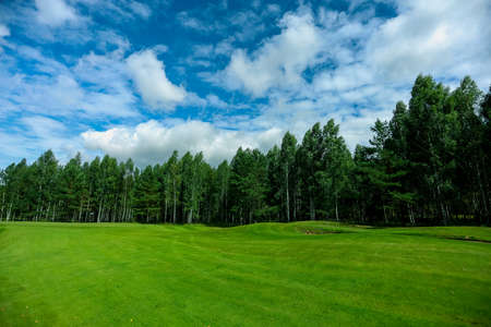 Golf course, landscape, green grass on the background of the forest and a bright sky with clouds. High quality photoの写真素材