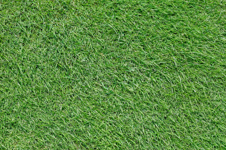 Green grass on a golf course in the evening. High quality photoの写真素材