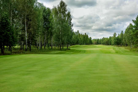 Golf course, landscape, green grass on the background of the forest and a bright sky with clouds. High quality photoの写真素材