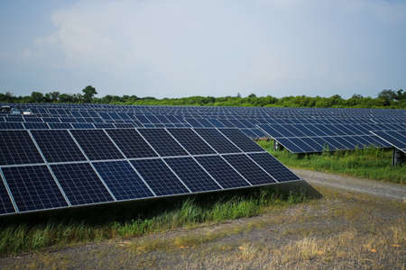 Rows of solar panels in a field. Natural energyの写真素材