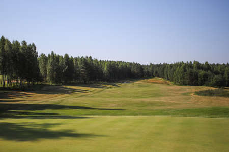 Green field against the background of forest and a blue sky.の写真素材