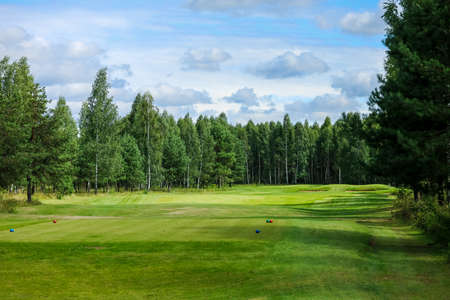 Golf course, landscape, green grass on the background of the forest and a bright sky with clouds. High quality photoの写真素材