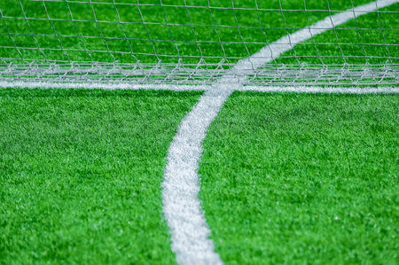 White stripe on green grass on the playing fieldの写真素材