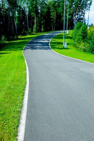 Footpath among the lawn against a background of the forest. High quality photoの写真素材