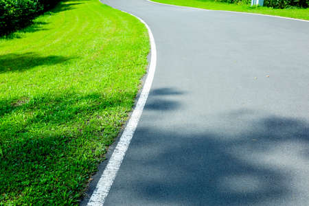 Footpath among the lawn against a background of the forest. High quality photoの写真素材