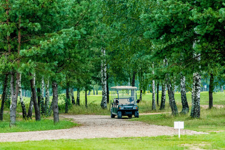 Golf car in the forest at the golf club. High quality photoの写真素材