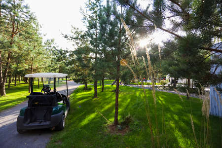 Electric golf car on the green field with passengers. High quality photoの写真素材