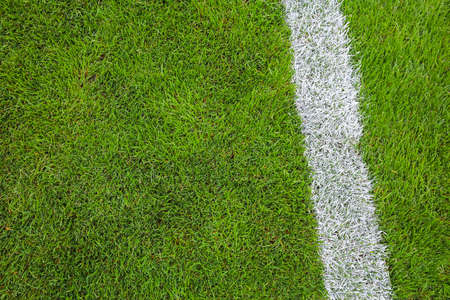White stripe on green grass on the playing fieldの写真素材