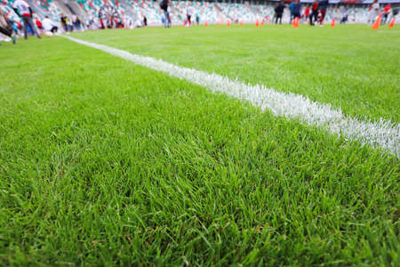 White stripe on green grass on the playing fieldの写真素材