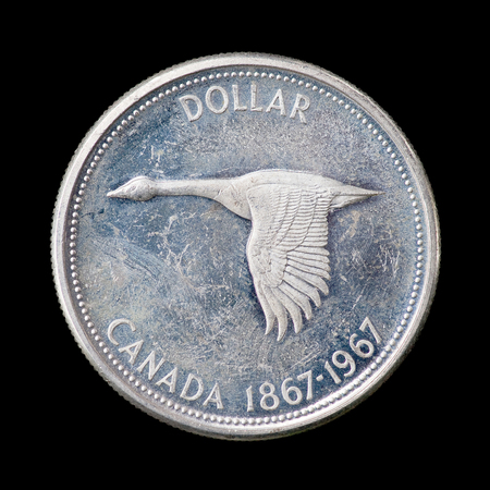 The one canadian dollarの写真素材