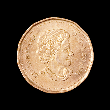 The one canadian dollarの写真素材