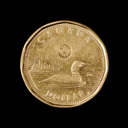 The one canadian dollarの写真素材