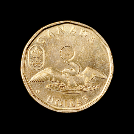 The one canadian dollarの写真素材