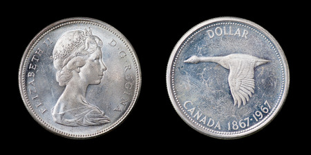 The one canadian dollarの写真素材